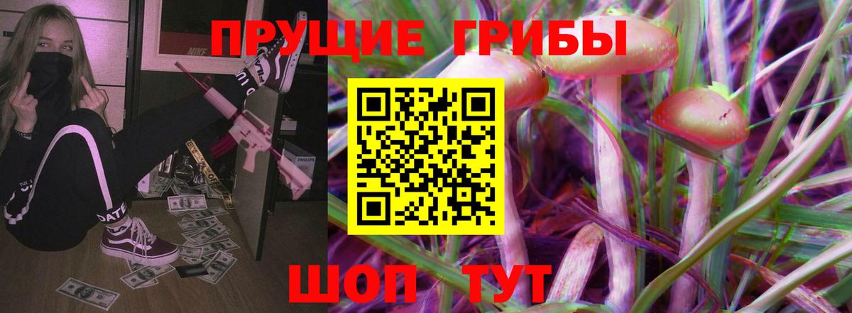 Псилоцибиновые грибы мицелий Казань